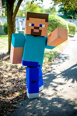 Minecraft Costume Steve Alex Creeper Mario And More! Halloween Mascot Cosplay • $79.99