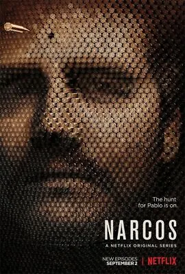 380259 Narcos TV Series WALL PRINT POSTER AU • $20.85