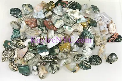 Wholesale Lot 2 Lbs Natural Ocean  Jasper Tumble Healing Energy Nice Quality • $53