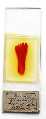 Antique EMBRYOLOGY MICROSCOPE SLIDE By  STANLEY  HUMAN FOETAL FOOT  4th. Month • $13.26