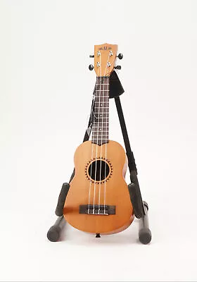 Kala Learn To Play Ukulele Starter Kit Mahogany • $42