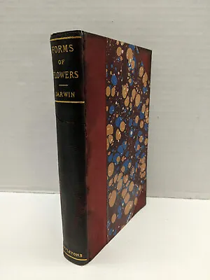 Charles Darwin - Forms Of Flowers - 1896 D. Appleton Co. Antique Book • $81