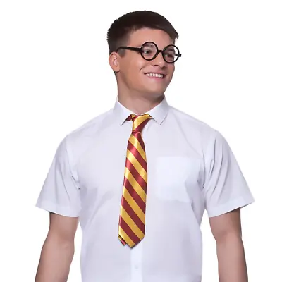 School Boy Set Adults Fancy Dress Costume Kit Geek Nerd Mens Outfit Glasses Tie • £4.99