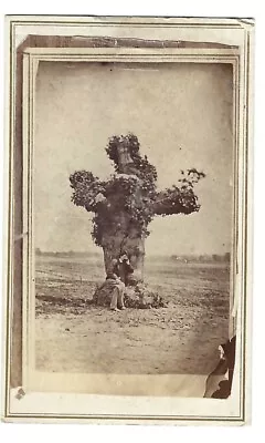 Civil War CDV  Tree Under Which Capt Smith Was Saved By Sacagewia  With Soldier • $300