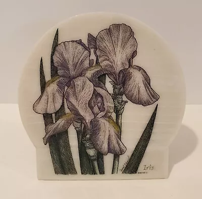 Janet Vancil Artist Iris Etched Painting On Stone Wall Or Tabletop Plaque 1997 • £11.10