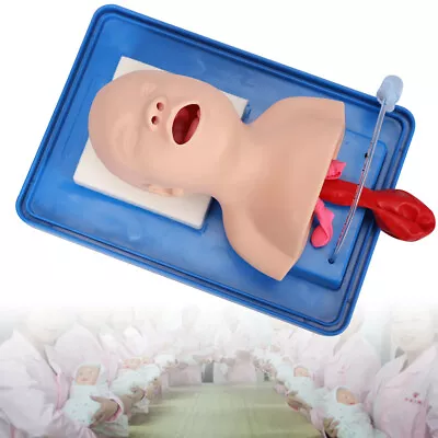 $86.45 • Buy Lab Intubation Manikin Study Teaching Model Baby Airway Management Trainer Mold