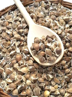 110 X Moringa Oleifera Seeds Hand Selected Finest Immune Quality NON-GMO Herb • £5.32