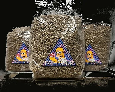 Organic Rye Grain Spawn Bag Hydrated & Sterilised - Grow Mushrooms Kit Cubes • £9.99