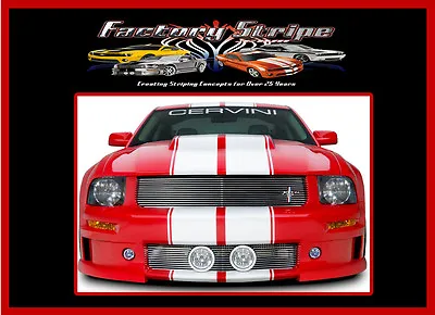  Mustang Rally Stripe With Pinstripe Racing Kit 2010-2012 Factory Stripe Graphic • $114