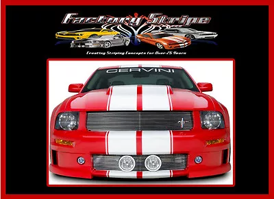 2010 2011 2012 MUSTANG RALLY PINSTRIPE RACING KIT 3m Vinyl Decal Factory Stripe  • $113.50