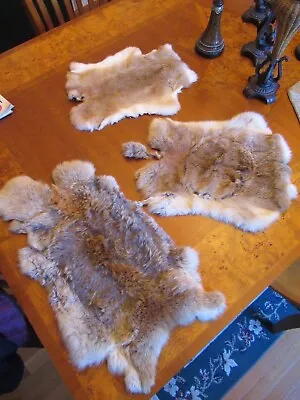 RABBIT SKIN NATURAL LIGHT BROWN Fur Pelts With Leather - Home Decor • $10