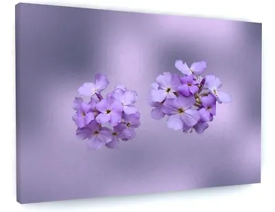 Stunning Purple Lilac Blossom Flowers Canvas Picture Print Wall Art #5104 • £20.94