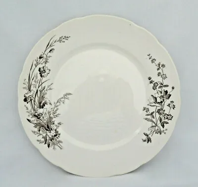 T & R Boote Staffordshire England Brown Transferware Plate ~ POPPY • $29