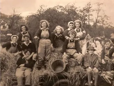 New 6 X 4 Photo Ww2 Blitz Homefront Land Army Land Girls  17 • £1.50