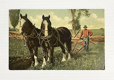 Early Postcard Man In Fields With Horse Drawn Plow Harrow Disc Two Horse Team • $6