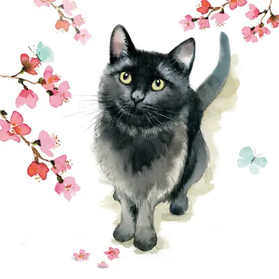 Countryside Collection Card - Black Cat & Blossom • £5.09