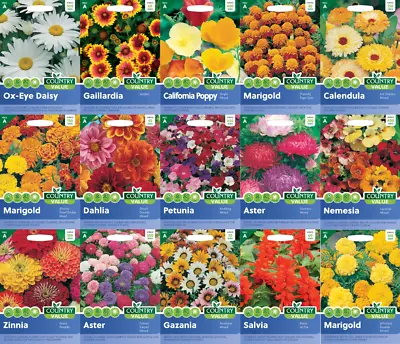 Flower Seeds UK By Country Value For Pots Garden Patio Perennials Annuals • £0.99