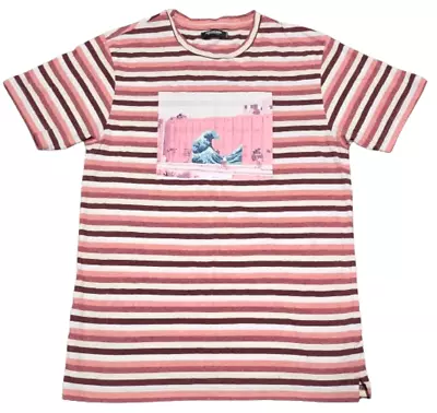 Pink Dolphin - Authentic Multicolor Retro Stripes T-Shirt Medium Men's Waves! • $24.95