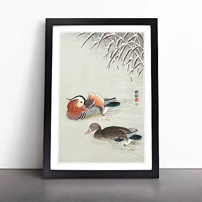 Mandarin Ducks Animal Asian Bird Ohara Koson Wall Art Print Framed Picture • £16.95