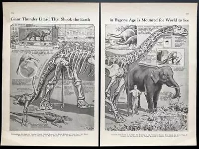 Great Hall Of Dinosaurs ~ Brontosaurus 1931 Print O.C. Marsh~Yale Peabody Museum • $14.89