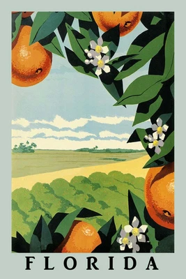 $9.99 • Buy 1930s Florida Vintage Travel Poster. Oranges