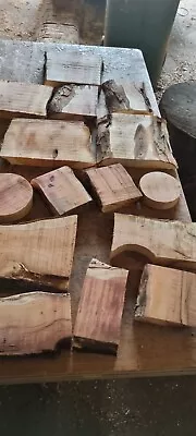 Yew Board Offcuts X15 • £25