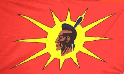 $10.89 • Buy Oka Crisis Flag 3x5 Ft Mohawk Indian Tribe Canada Native American Protest Banner