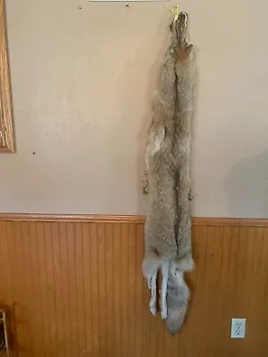 $119 • Buy  Professionally Tanned  Western Heavy Coyote Pelt With Feet XXL