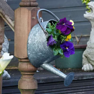 Galvanised Watering Can Hanging Wall Planter | Outdoor Garden Metal Steel Pot • £16.99