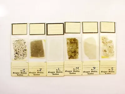 6 Antique/Vintage  Microscope  Slides. Petrology  By Gregory And Bottley. • $31.07