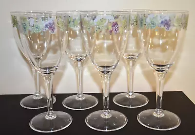 Lot 6 Clear Acrylic Plastic Wine Glasses Goblets Grapes Vine Ivy 8  Pool Picnic • $19.99