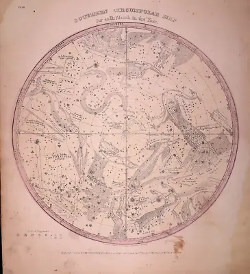 1835 Star Chart ~ THE SOUTHERN CIRCUMPOLAR For EACH MONTH Map By Burrett -#020 • $45.95