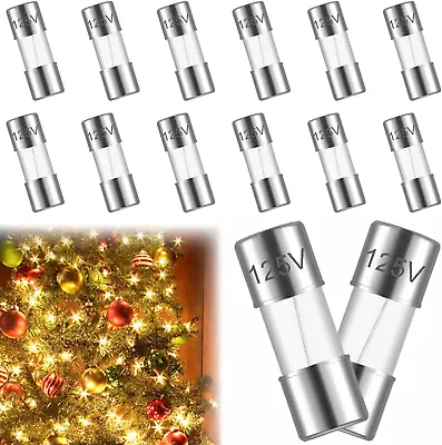 20Pcs Christmas Light Fuses Mini Fuse 3A 3Amp 125V F3AL125V Fast-Blow Glass Fuse • $12.82