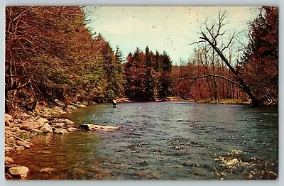 Vtg Chrome Fly-Fishing In A Stream Postcard • $4.45