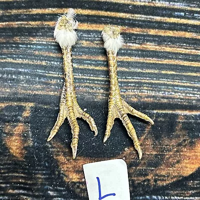 2 Real Chicken FEET Pair Animal Mount Witch Art Craft Bird Voodoo Stands Decor • $15