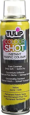 Tulip Colour Shot Instant Fabric Paint Various Colours 103.5ml (3oz) • £5.69