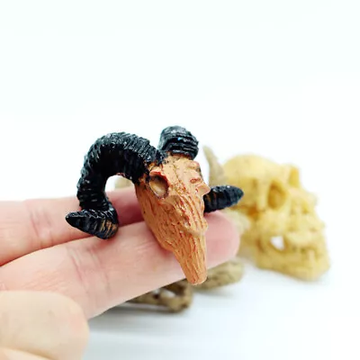 1:12 Scale Dollhouse Ape Man Rhino Specimen Animal Skull Miniatures Accessories • $4.99