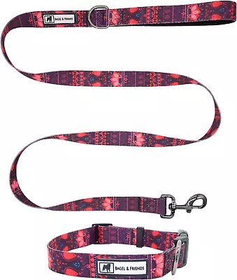 Matching Dog Collar & Leash Set Xsmall Small Medium Large For Boy Male F... • $16.99