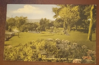 £4.50 • Buy Rhondda Cynon Taff:   Ynysyngharad Park @ Pontypridd. Postmark Pontypool 1960s.