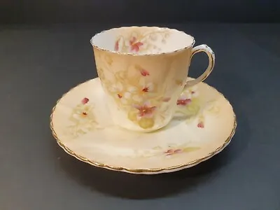 Samuel Radford Antique Tea Cup & Saucer; Bone China • £8
