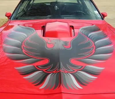 1978 - 81 Trans Am Complete Decal Kit W/ 1 Pc Hood Bird - Silver - Gm Licensed! • $471.90