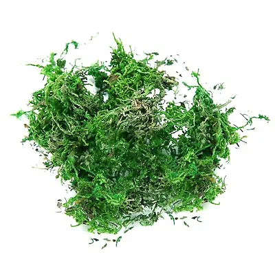 Fake Moss Artificial Moss For Potted Plants Greenery Moss  Home Decor Fairy • $0.99