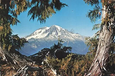 Postcard WA Mount Rainier Washington Cascade Range Active Volcano Snow Capped • $6.01