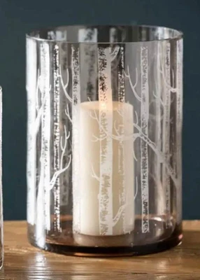 $18 • Buy Birch Branch Etched Glass Hurricane, Large Candle Holder Lanturn