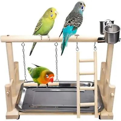 Parrot Playstand Bird Play Stand Cockatiel Playground Wood Perch Nest Gym Toys • $26.59