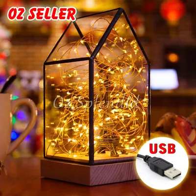 50/100/200 LED USB Powered Waterproof String Fairy Lights Wedding Xmas Outdoor • $13.95