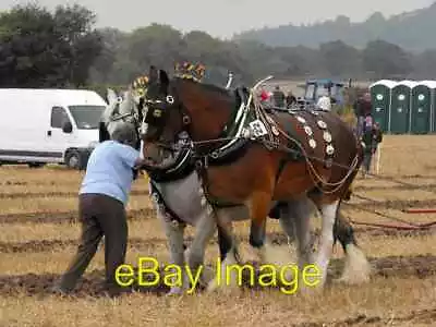 £2 • Buy Photo 6x4 Horse Ploughing 2 C2009