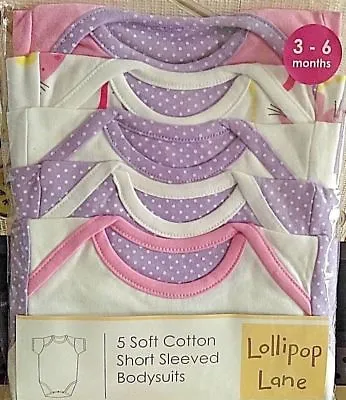 £7.99 • Buy 5 Packs Lollipop Lane Baby Girl Short Sleeve Bodysuit Soft Cotton Cute Design