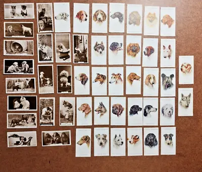 Lot Of 49 Vintage Cigarette Cards - De Reszke And John Player & Sons - Dogs ! • $35