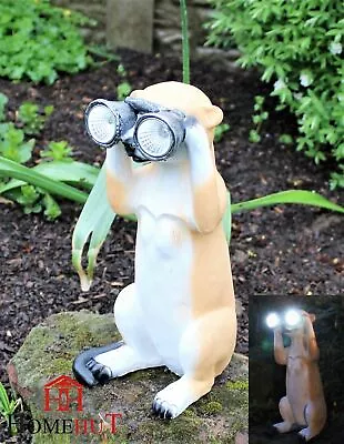 Solar Garden Ornament Powered Decorative Meerkat Light Up With Binoculars Indoor • £14.95